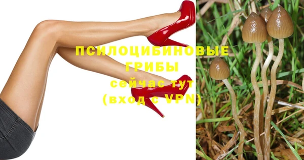 ешки Богородицк