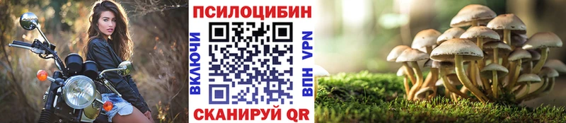 KRAKEN ONION Оренбург Псилоцибиновые грибы ЛСД сколько стоит