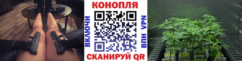 наркошоп  Оренбург  Канабис конопля 
